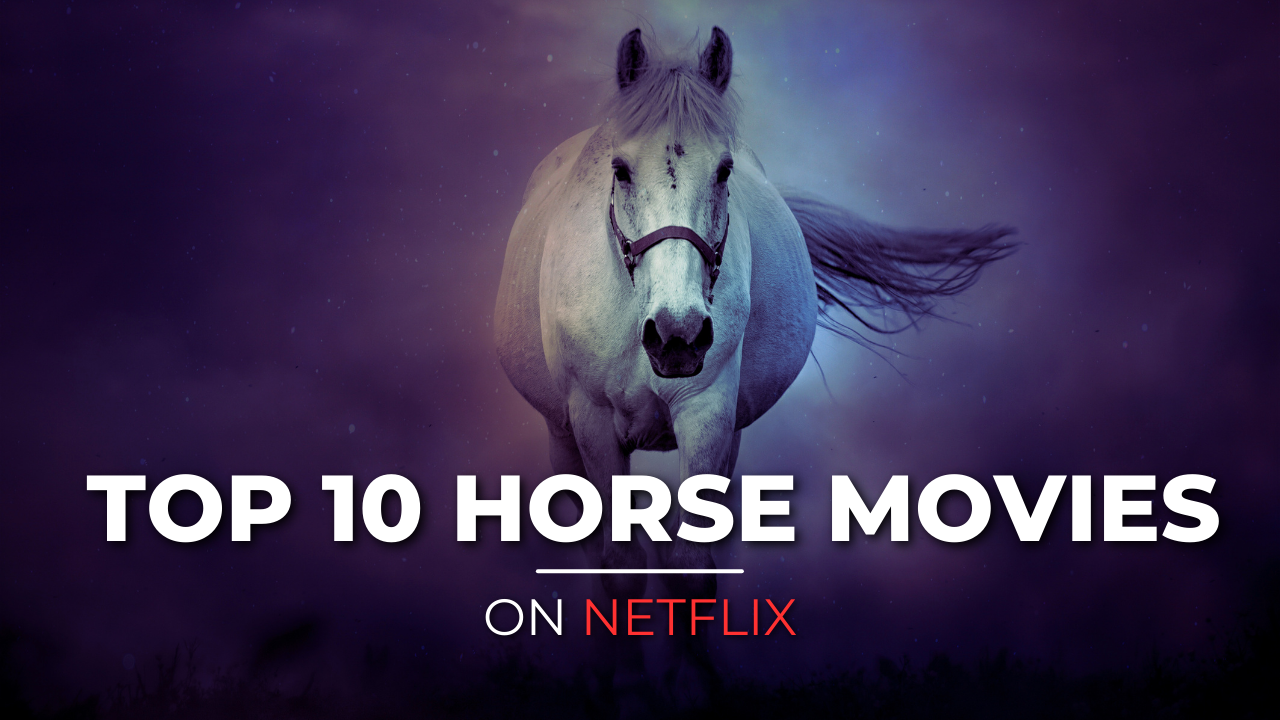 Horse Movies on Netflix