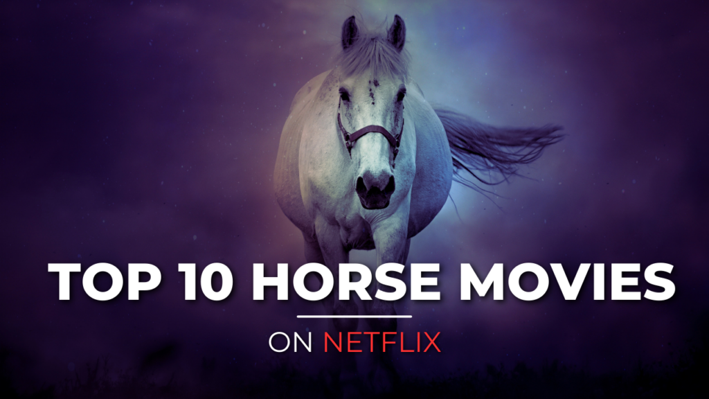 Horse Movies on Netflix